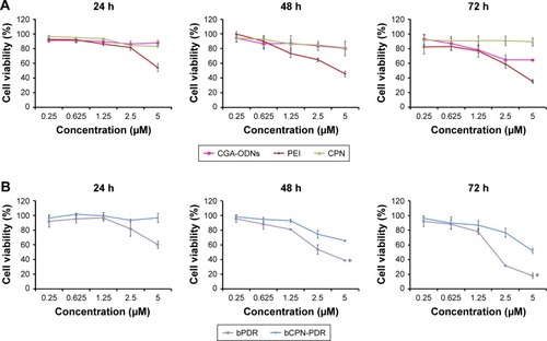 Figure 2 Cell viability of MCF-7 cells treated with (A) CGA-ODNs, PEI, CPN and (B) bPDR, bCPN-PDR for 24, 48 and 72 h, respectively. (*P<0.05 vs bCPN-PDR).Abbreviations: CGA-ODNs, oligodeoxynucleotides with CGA repeating units; PEI, poly(ethyleneimine); PDR, Dox and siRNA co-loaded nanoparticles; CMCS, o-carboxymethyl-chitosan; PEG, poly(ethylene glycol); NGR, aspargine-glycine-arginine peptide; CPN, CMCS-PEG-NGR; CPN-PDR, CPN-coated Dox and siRNA co-loaded nanoparticles; bCPN-PDR, non-Dox and non-siRNA co-loaded CPN-PDR; bPDR, non-Dox and non-siRNA co-loaded PDR.