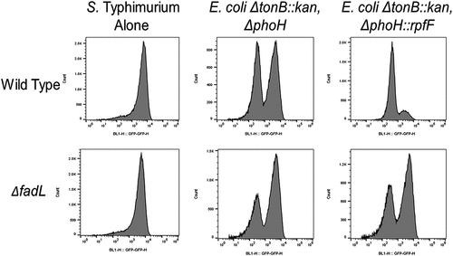 Figure 4. Recombinant production of c2-HDA reduces the proportion of the Salmonella population expressing invasion genes. A dual-fluorescent S. Typhimurium reporter strain (ΔphoN:BFP, sicA-GFP) was used to determine total numbers of Salmonella and the proportion expressing the invasion gene sicA when grown alone or in co-culture with isogenic E. coli Nissle 1917 ΔtonB strains expressing or lacking rpfF. Salmonella fadL null mutants were used to assess the importance of fatty-acid transport to the effects of c2-HDA. Numbers of BFP- and GFP-expressing Salmonella were determined by flow cytometry; percentage of the Salmonella population expressing sicA for each strain and condition is indicated.