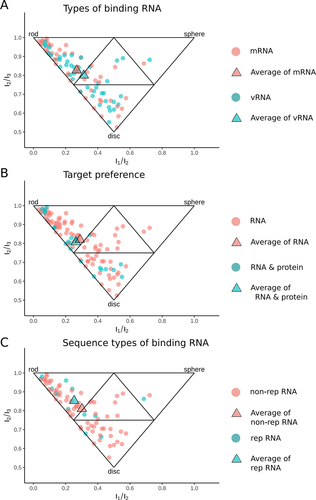Figure 3. Comparing spatial properties of different types of ligands in RNALID. (A) Comparing ligands binding with mRNA and ligands binding with vRNA. (B) Comparing the spatial properties of ligands only binding with RNA to the ligands binding with both RNA and protein. (C) Comparing ligands binding with RNA with repeat sequence and ligands binding with RNA without repeat sequence. Each point represents one ligand. A triangle (average) represents the mean values of coordinates in the 2D-space formed by I1/I3 and I2/I3for each type of individual ligands.