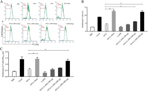 Figure 5. T cell proliferation in response to L-EPS. Lymphocytes of the immunized mice were isolated on day 7 after the second immunization. The proliferation of T cells was detected by CFSE and MTS analysis. (A) The proliferation responses were analysed in FACS Calibur by setting the gate to the CFSE positive cells indicated as the M1 after 48 h stimulation. (B) The means and SEMs of the fluorescence intensity of proliferated T cells are shown from three experiments. (C) MTS analysis of T cell proliferation in response to L-EPS. Data are expressed as the mean ± standard error of the mean (n = 3). *P < 0.05, **P < 0.01, compared to the OVA alone group. Error bars represent ± SEM.