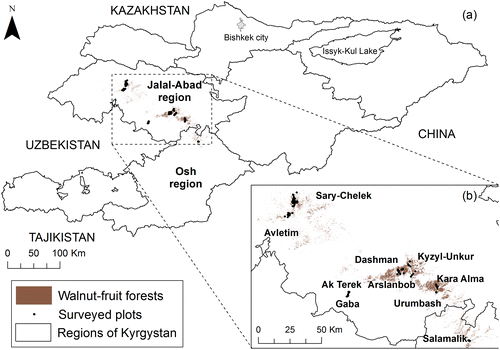 Figure 1 (a) Map showing the extent of the walnut-fruit forests within Kyrgyzstan; this was derived from the forest map produced by the National Academy of Sciences of the Kyrgyz Republic (Citation2009). (b) Close-up of the sample plots locations within the walnut-fruits forests shown in insert (a).
