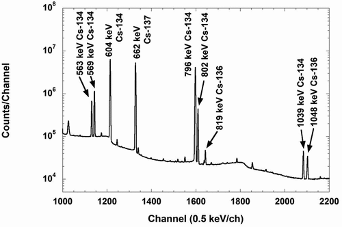 Figure 7. An example of γ-ray spectrum obtained from the measurement of the irradiated 137Cs sample without the filter (the bare target).