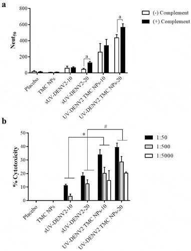 Figure 6. Neutralizing enhancement of DENV-2 immune serum upon treatment with complement