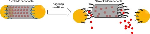 Figure 1 Design of AuNP-capped carbon nanobottle through cleavable linkers.Notes: Release of encapsulated content is regulated by the cleavage of the linkers upon specific environmental trigger. Yellow particles are AuNPs (gold nanoparticles). Red particles are the encapsulated CDDP (cisplatin) drug.