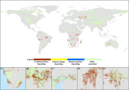 Figure 10. Distribution of global grassland degrading driving factors.