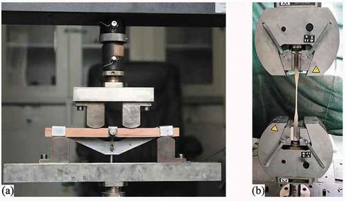 Figure 2. Timber properties testing: (a)flexural properties; (b)tensile properties.