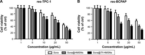 Figure 4 Sorafenib-loaded Tf-HMSNs (sora@Tf-HMSNs) increase cell cytotoxicity (A) res-TPC-1 cells and (B) res-BCPAP cells viability after incubation with different concentrations of sorafenib (sora), sorafenib-loaded HMSNs (sora@HMSNs), and Tf-HMSNs for 24 hours, respectively.Notes: The cell viability was assessed by CCK-8 assay. All the experiments were conducted for three times (Results were given as mean ± SD).Abbreviations: CCK-8, cell counting kit-8; ctrl, control; HMSNs, hollow mesoporous silica nanoparticles; Tf-HMSNs, transferrin-conjugated HMSNs.