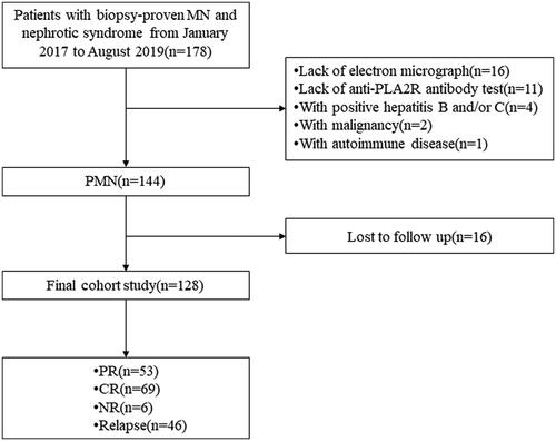 Figure 1. Flowchart of study participants. MN, membranous nephropathy; PLA2R, phospholipase A2 receptor; PMN, primary membranous nephropathy; PR, partial remission; CR, complete remission; NR, no remission.