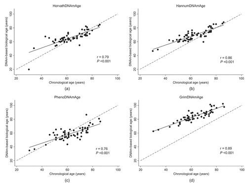 Figure 1. Correlation between chronological age and DNA methylation-based biological age according to four established epigenetic clocks in 60 hemodialysis patients; (A) HorvathAge, (B) HannumAge, (C) PhenoAge, and (D) GrimAge.