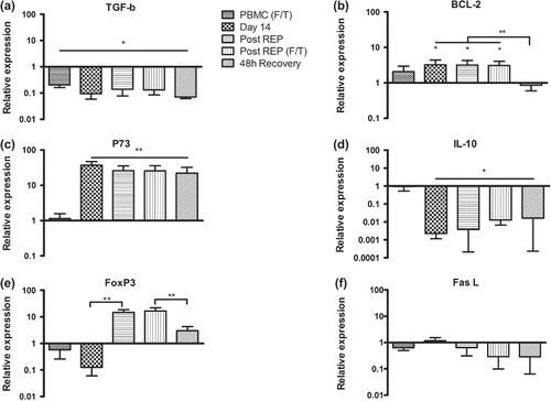 Figure 3. Relative expression levels of (a) TGF-β, (b) Bcl-2, (c) p73, (d) IL-10, (e) FoxP3 and (f) FasL in PBMCs from healthy donors at different time points during the protocol. All values were normalized to the expression of β-actin and gene expression in fresh PBMC was set as one. F/T – frozen/thawed. Bars represent mean fold change (n = 5) + SD. Asterisks denote statistical significance where *p ≤ 0.05, **p ≤ 0.01.