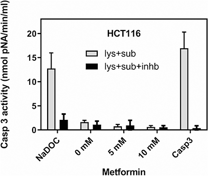 Figure 4 Metformin did not induce caspase 3 activity in HCT116 cells. For the caspase 3 activity assay, lysates were prepared from 107 untreated cells (0 mM metformin), cells treated with 5 mM and 10 mM metformin for 48 hrs. As an apoptosis-positive control, HCT116 cells were treated with 0.1 mM sodium deoxycholate (NaDOC) for 2 hours before protein isolation. Recombinant caspase 3 (a component of the kit) served as a positive control for the caspase 3 reaction (Casp3). Ten μL of lysates were applied in one reaction, and each was added with caspase 3 substrate (Ac-DEVD-pNA) and caspase 3 substrate + caspase 3 inhibitor (Ac-DEVD-CHO). Caspase 3 activity is presented in nmol pNA/min/mL (Caspase 3 Assay Kit, #CASP-3-C, Sigma). Data show mean values ±SD from three independent experiments.