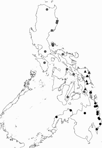Figure 5. Distribution of the species of the Rhinagrion philippinum group based on material from this article and hitherto published records. The holotype of R. philippinum comes from Bohol. Details on the location are lacking so that it is not present on the map. Black dots: R. reinhardi; grey dots: R. philippinum; triangles: R. schneideri.