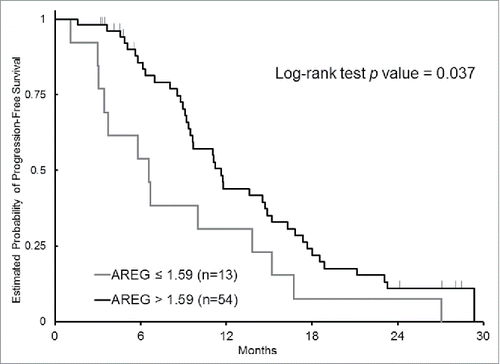 Figure 1. Probability of progression-free survival by AREG gene expression.