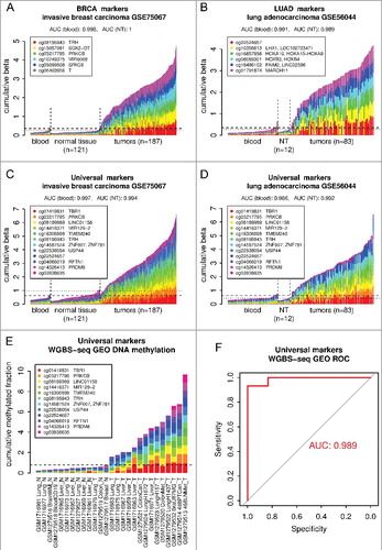 Figure 5. Validation of marker sets identified using TCGA data on independent sample cohorts from the GEO. (a) BRCA-specific six marker set was tested using independent invasive breast carcinoma cohort (GSE75067). (b) LUAD-specific six marker set was tested using independent lung adenocarcinoma cohort (GSE56044). (c,d) Both of these cohorts were also used to test the universal marker set. Normal whole-blood cohort (GSE72775) and respective normal tissues (NT, breast GSE101961, lung GSE56044) were used as controls. The plots show DNA methylation of each marker set in individual tumor samples in comparison to normal blood samples and respective NT samples. Only 50 randomly chosen blood samples are shown. The horizontal dashed and dotted lines shows the 95th percentile of the cumulative DNA methylation of each marker set in the entire normal blood cohort (n = 335) and in respective NT cohort, respectively. The AUCs were calculated using the whole tumor cohort and the whole normal blood cohort (n = 335) or respective NT as a normal reference for each cancer and marker set combination. (e) Validation of the universal marker set using whole-genome bisulfite sequencing (WGBS-seq) data from GEO (GSE52271, GSE56763, GSE70090). The mean methylated fraction for 200 bp regions matching the marker CpGs was calculated from the WGBS-seq data and then used in a similar way as beta values in previous analysis. Individual samples are labeled by their GEO accession and an abbreviation of the tissue or cell line, N or T, at the end denominates normal or tumor samples, respectively. The horizontal dashed line shows the maximum of the cumulative DNA methylation of the marker set in the normal samples. (f) ROC analysis curve for the universal marker set and WGBS-seq cohort from (e).
