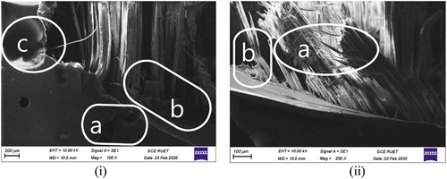 Figure 6. Morphological view of the [30 ∘b/G/G/30∘b] orientation; (i) (a) matrix fracture, (b) banana fiber failure, and (c) air void; (ii) (a) fibers pull-out and (b) debonding.