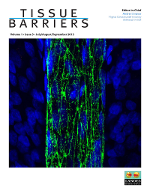 Cover image for Tissue Barriers, Volume 1, Issue 3, 2013