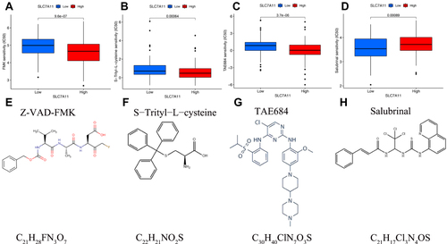 Figure 8 The significance of the Solute carrier family 7 member 11 (SLC7A11) expression in chemosensitivity. (A-D) Sensitivity performance of common chemotherapy agents, including Z-VAD-FMK (A), S-Triphenylmethyl-L-cysteine (S−Trityl−L−cysteine) (B), TAE684 (C), and Salubrinal (D), in high-SLC7A11 expression subgroup and low-SLC7A11 expression subgroup. (E-H) The chemical structural formula and molecular formula of these chemotherapy drugs; Z-VAD-FMK (A), S−Trityl−L−cysteine (B), TAE684 (C), and Salubrinal (D).