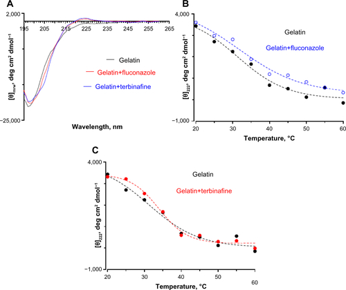 Figure S8 (A) Far ultraviolet circular dichroism spectropolarimetry of gelatin and gelatin incubated with fluconazole and terbinafine at 30°C. Thermal denaturation of gelatin monitored by changes in (θ)225 in the presence of (B) fluconazole and (C) terbinafine. The concentration of antifungals was 0.25 wt% with respect to gelatin.