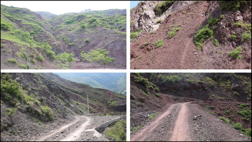 Figure 2. Pictures of the Laoqinggou debris flow material source area.