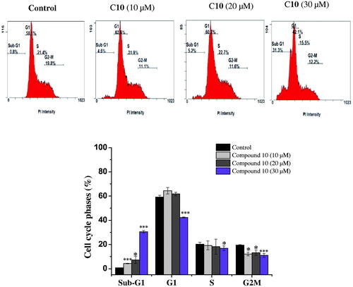 Figure 3. Cell cycle analysis of MCF-7 cells after treatment with compound 10. MCF-7 cells were treated with different concentrations of compound 10 (10, 20, 30 μM) for 24 h, stained with propidium iodide and analysed for cell cycle using flow cytometer. Columns, average ± SD. *p < 0.05, **p < 0.01 and ***p < 0.001 as compared to control.