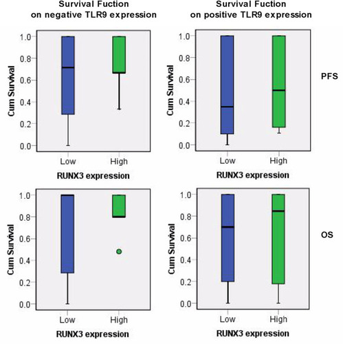 Figure 3 The survival function of lung cancer radiotherapy related TLR9 and RUNX3 expression. X axis was identified for RUNX3 status, Y axis indicated the cumulative survival of PFS and OS on lung cancer radiotherapy with negative and positive TLR9 expression.