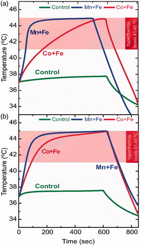 Figure 3. In vitro single-pulse hyperthermia on SaOS-2. Sequences performed in two runs with a 48 h interval in-between: Graph 3a corresponds to first hyperthermia run while Graph 3b corresponds to second hyperthermia run. Blue/red curves refer to cell samples incubated with MnFe2O4/Fe3O4 (Mn + Fe) and CoFe2O4/Fe3O4 (Co + Fe) MNPs respectively while green curve corresponds to heating response of control sample (cells without particles). Samples (cells with particles under field) in both cases safely enter the hyperthermia region (41–45 °C) for ambient time.