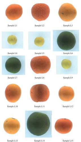 FIGURE 4 Fruit samples for LDA and PDF analysis.