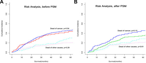 Figure 2 Competing risk curve of CSS among elderly patients with T3-T4 laryngeal cancer: before PSM (A) and after PSM (B).