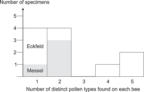 Figure 18. Bar chart visualising the number of pollen types found on individual bee specimens (cf. Table I).