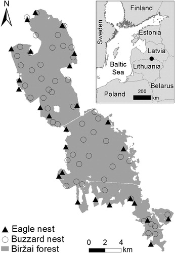 Figure 1. Location of Biržai Forest in the region, and distribution of Common Buzzard and Lesser Spotted Eagle nests.