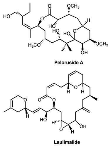 Figure 1 Structures of peloruside A and laulimalide.