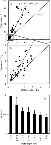 Figure 10.  (A, B) In situ TOU plotted against parallel DOU measurements for a wide range of non-photic sediments (n = 65). (C) Ratio between DOU and TOU versus the depth ranges (data from Archer & Devol Citation1992; Reimers et al. Citation1992; Glud et al. Citation1994a, 1998a, 1999a, 2000b, 2003; Forster et al. Citation1999; Glud & Gundersen Citation2002; Wenzhöfer et al. 2001a, b, 2002; Wenzhöfer & Glud Citation2002; Witte et al. 2003a).