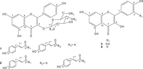 Figure 1.  Chemical structures of the isolated compounds.