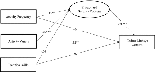 Figure 2. Final model with standardized path coefficients.