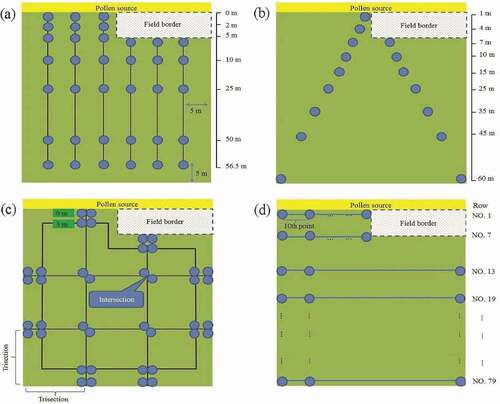 Figure 6. Sampling design of the 2009–2 experimental field. (a) Tsix, (b) TV, (c) JM(l), and (d) SYS