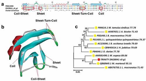 Figure 7. Structure analysis including sequence alignment, 3D modeling and phylogenetic analysis of makatoxin-2. (a) A putative sequences TRINITY_DN28041_c0_g1 was aligned with a model Makatoxin-2 (pdb ID: 2KBK). At the bottom of columns, asterisks (*) show conserved positions, colons (:) show conserved substitutions and points (.) show non-conserved substitutions. Grey line, green Bend, blue banded arrowhead, and red solenoid represent coil, turn, sheet and helix, respectively. Different fragments are framed by red lines, (b) 3D modeling was simulated using the template Makatoxin-2 (PDB ID: 2KBK) by Swiss-MODEL and viewed by Discovery Studio 4.5. The colors grey, green, blue, and red represent coils, turns, sheets and helices, respectively, (c) Phylogenetic tree constructed using TRINITY_DN28041_c0_g1 and 10 other sequences from different species using MEGA 7 with the Neighbor-Joining method. TRINITY_DN28041_c0_g1 was marked in red circle and the arthropod was marked in yellow circle.