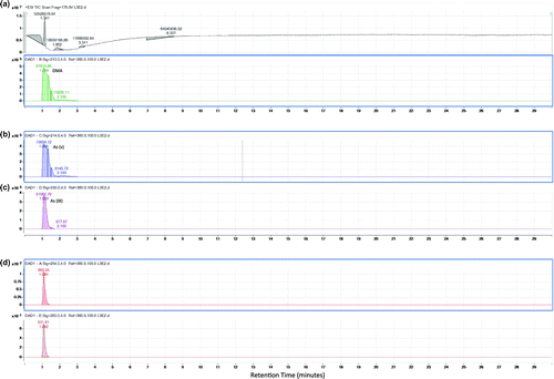 Figure 5. (a) (b) (c) (d) (e) Chromatograms of arsenic species using Q-TOF LC/MS at MAS1 after second extraction.