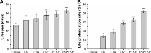 Figure 5 Lifespan and life prolongation rate.Notes: (A) Lifespan; (B) Life prolongation rate. Data are expressed as the mean ± SD, n=10. *p<0.01 vs Control, **p<0.05 vs LK or PTX, ***p<0.01 vs LK/P or PTX/P.Abbreviations: LK, lumbrokinase; P, PEG-b-(PELG-g-(PZLL-r-PLL)); PEG-b-(PELG-g-(PZLL-r-PLL)), poly(ethylene glycol)-b-(poly(ethylenediamine l-glutamate)-g-poly(ε-benzyoxycarbonyl-l-lysine)-r-poly(l-lysine)); PTX, paclitaxel.