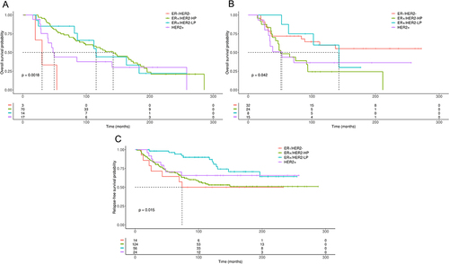 Figure 5 Kaplan–Meier plots of OS or RFS in BC patients with ZNF217 gene amplification or gain according to molecular subtypes defined by 3 gene classifier model and treated with CT or HoT. (A) OS in BC patients with ZNF217 gene amplification treated with HoT. (B) OS in BC patients with ZNF217 gene gain treated with CT. (C) RFS in BC patients with ZNF217 gene gain, treated with HoT. p value was determined using the Log rank test.