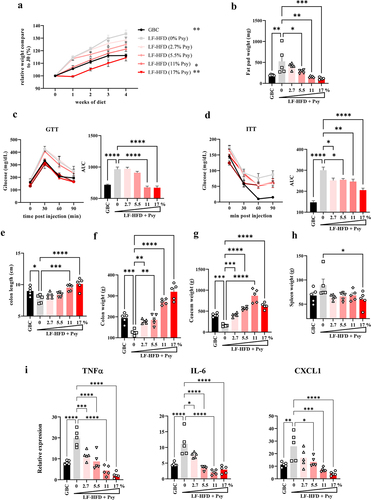 Figure 2. Psyllium protects against HFD-induced metabolic syndrome in a dose-dependent manner. Male 6- to 8-week-old C57Bl/6 mice were fed with indicated diet for 28 days. (a) Relative body weight over time. (b) Epididymal fat pad weight. (c) Glucose tolerance test and respective areas under the curve. (d) Insulin tolerance test and respective areas under the curve. (e) Colon length. (f) Colon weight. (g) Cecum weight. (h) Spleen weight. (i) Colonic expression of pro-inflammatory cytokines by q-RT-PCR. Data are expressed as means ± SEM of n = 5 mice per group. Significance was determined by the ANOVA variance test. *P < 0.05, **P < 0.01, ***P < 0.001, ****P < 0.0001.