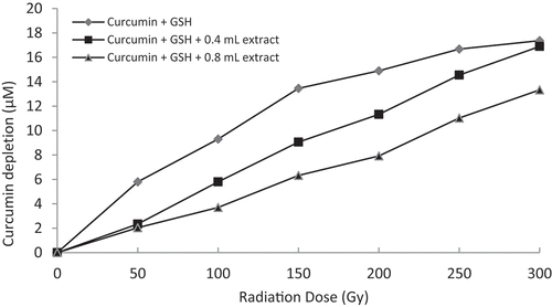 Figure 4. Graphical representation of curcumin protection by 60% methanol extract of Z. montanum (15x dilution, i.e. 0.4 mL = 0.53 mg/mL and 0.8 mL = 1.06 mg/mL concentration) against thiyl free radical attack.