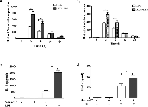 Figure 2. The differential expression of inflammatory cytokines induced by LPS in hDPCs with or without 5-Aza-CdR pretreatment. (a) Cells were collected from LPS-treated hDPCs with or without 5-Aza-CdR pretreatment. The mRNA expression of IL-6 was measured by qRT-PCR. (b) Cells were collected from LPS-treated hDPCs with or without 5-Aza-CdR pretreatment. The mRNA expression of IL-8 was measured by qRT-PCR. (c) Cell culture media were collected from LPS-treated hDPCs for 24 h with or without 5-Aza-CdR pretreatment. The protein expression level of IL-6 was measured by ELISA. (d) Cell culture media was collected from LPS-treated hDPCs for 24 h with or without 5-Aza-CdR pretreatment. The protein expression level of IL-8 was measured by ELISA. The results are presented as the mean ± SD of three independent experiments; *P <0.05; **P < 0.01.