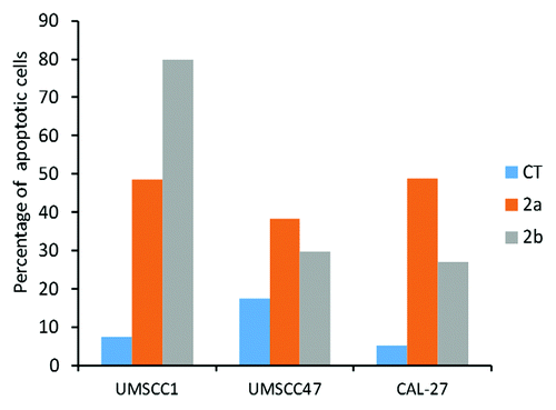 Figure 5. Induction of apoptosis by 1a, 1b, 2a, and 2b antioxidants in CAL27, UMSCC1 and UMSCC47 oral squamous cell carcinoma lines as analyzed by the Annexin V assay. CT, control tissues; 1a, 1b, 2a, 2b, tissues treated with antioxidants. Antioxidants: 1a, 6′-hydroxy-2′,5′,7′,8′-tetramethylchroman-2′-yl) methyl 3,4,5-trihydroxybenzoate; 1b, 6′-hydroxy-2′,5′,7′,8′-tetramethylchroman-2′-yl) methyl 3,5-dimethoxy-4-hydroxycinnamate; 2a, N-decyl-N-(3,5-dimethoxy-4-hydroxybenzyl)-3-(3,4-dihydroxyphenyl) propanamide; 2b, N-decyl-N-(3-methoxy-4-hydroxybenzyl)-3-(3,4-dihydroxyphenyl) propanamide.