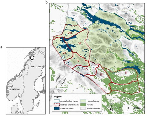 Figure 1. (a) Location of the study area in northern Scandinavia. (b) Location of the eight districts surveyed by Selander (Citation1950) and the Ålmajallojekna glacier (located south of the label VII). Dark green areas indicate spruce forests, light green indicates birch forests, grey indicates the area above the tree limit, blue indicates lakes.