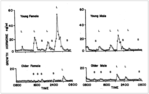 Figure 2 Patterns of GH secretion in younger and older women and men. There is a marked age-related decline in GH secretion in both sexes and a loss of the nighttime enhancement of GH secretion seen during deep (slow-wave) sleep. This decrease is primarily due to a reduction in GH pulse amplitude, with little change in pulse frequency. L = large GH pulses, S = small GH pulses. From CitationHo et al 1987.