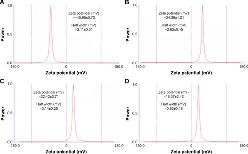 Figure 1 Zeta potential measurements of GO (A), GO-PLL (B), GPF (C), and GPF/DOX/VEGF-siRNA (D).Abbreviations: DOX, doxorubicin; GO, graphene oxide; GPF, GO-PLL/folic acid; PLL, poly-l-lysine hydrobromide; siRNA, small interfering RNA; VEGF, vascular endothelial growth factor.