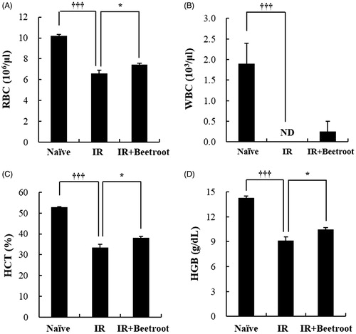 Figure 9. The effect of beetroot on peripheral blood in mice of each experimental group. Whole blood of each mouse was collected in EDTA-2K coated blood collection tubes and analyzed by a blood cell counter at 10 days after irradiation. Data are represented as means ± SEM of three independent experiments. (a) RBC count (106/μL), (b) WBC count (103/μL), (c) HCT level (%), (d) HGB level (g/dl) (*p < .05, †††p < .001). ND: not detected.