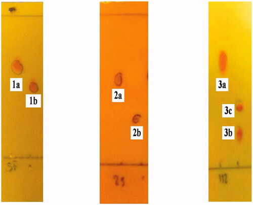 Figure 2. TLC Chromatograms of the starting materials (1a, 2a and 3a) and transformation products (1b, 2b, 3b and 3c) were sprayed with Dragendroff’s reagent and the mobile phase are 96:4, 93:7 and 90:10 v/v of CH2Cl2 and MeOH.