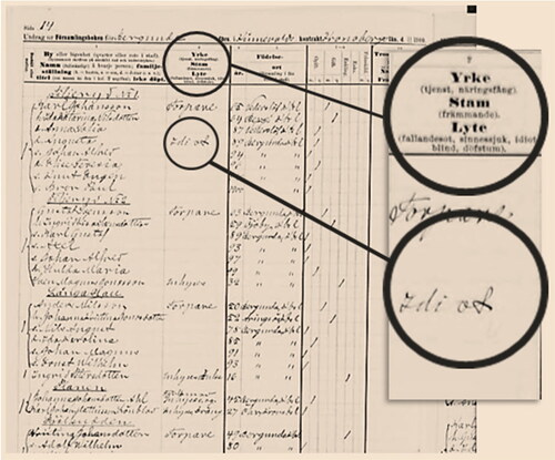 Figure 1. Image of a preprinted census form for the 1900 census, Bergunda parish in Kronobergs county.Source: Statistiska Centralbyrån (Citation1900).Notes: The second column in the preprinted census form designed for the 1900 census shows information about occupation (yrke), ethnicity (stam), and disability (lyte) recorded by the minister. The header specifies what types of disabilities to register (i.e., “epilepsy”, “insanity”, “idiocy”, “blindness”, and “deaf-muteness”). As highlighted in the image, the minister in this parish has written “idiot” after one of his parishioners.