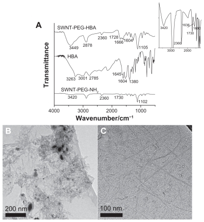 Figure 2 (A) Infrared spectra of SWNT-PEG-HBA, HBA, and SWNT-PEG-NH2 composites. Inset: enlargement of of infrared spectrum of SWNT-PEG-NH2. TEM images of (B) raw SWNT and (C) SWNT-PEG-NH2.Abbreviations: HBA, hydrazinobenzoic acid; PEG, polyethylene glycol; SWNT, single-walled carbon nanotube; TEM, transmission electron microscopy.